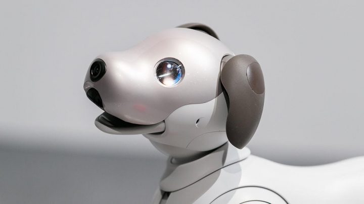 Sony's Aibo AI Dog